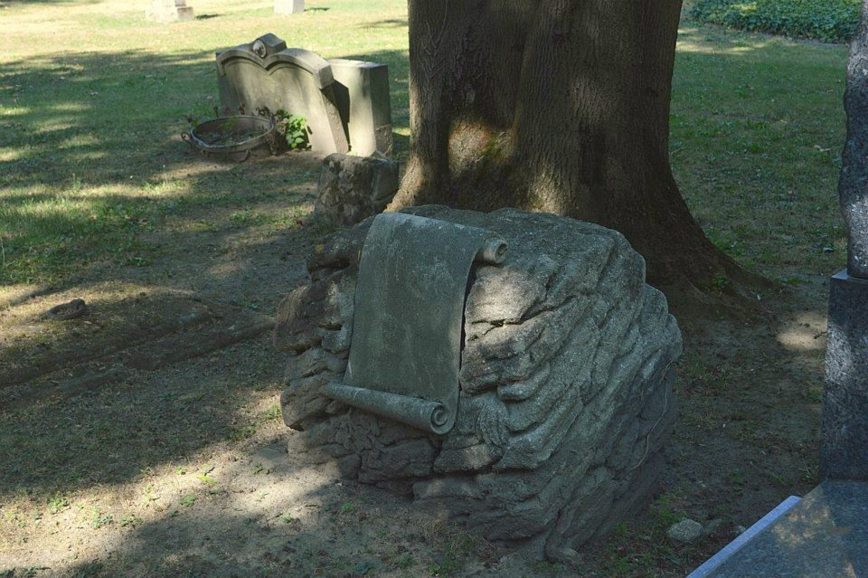 1173885_10200930648926868_2100098804_n